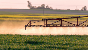 Adieu au glyphosate, bienvenue au prosulfocarbe