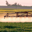 Adieu au glyphosate, bienvenue au prosulfocarbe