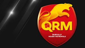 Attaqué par la marque Puma sur son logo, QRM obtient gain de cause en justice