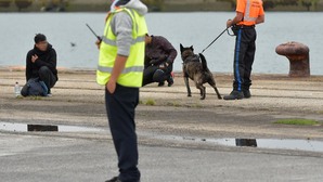 A Cherbourg, dans l'autre "Calais", soupçons de violences des forces de sécurité contre des Afghans