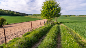 Main basse sur la terre : pays de Bray, pays debout 1/2