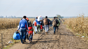 Pour expulser un migrant, la préfecture de la Manche prend attache avec le régime taliban