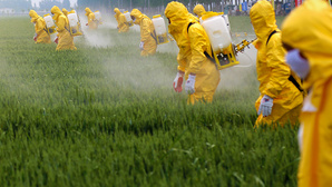 Comment le lobby des pesticides, soutenu par le sénateur socialiste Didier Marie, a menti 