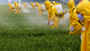 Le Sénat met en demeure le lobbyiste de 19 fabricants de pesticides pour son faux chantage à l’emploi