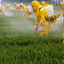Le Sénat met en demeure le lobbyiste de 19 fabricants de pesticides pour son faux chantage à l’emploi