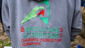 En Normandie, harcèlement moral et discrimination syndicale à la chambre d'agriculture