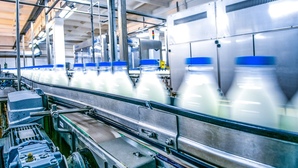 Les Maîtres Laitiers du Cotentin condamnés deux fois pour faute inexcusable de l'employeur 