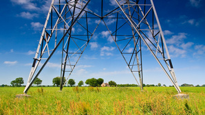 De l’électricité dans l’herbe : enquête sur des élevages en souffrance