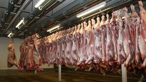 Près de Caen, l’abattoir Elivia condamné à payer les pauses de ses salariés