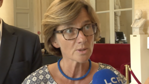 Au Havre, le discret conflit d’intérêts d’une députée de la majorité