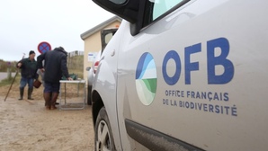 Dans la Manche, le syndicat Jeunes Agriculteurs met en scène le meurtre d'un agent de l'OFB dans une vidéo "humoristique" avant de rétropédaler