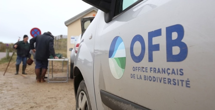 Dans la Manche, le syndicat Jeunes Agriculteurs met en scène le meurtre d'un agent de l'OFB dans une vidéo "humoristique" avant de rétropédaler