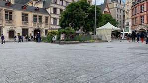 Double meurtre de la place de la Pucelle : le rapport qui embarrasse l'Etat