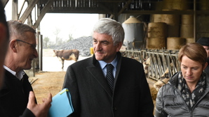 L’agriculture normande à la sauce Morin